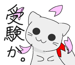Examination cat OKOJO sticker #5350061