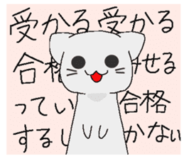 Examination cat OKOJO sticker #5350075