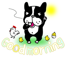 The French bulldog stickers -latest- sticker #5351082