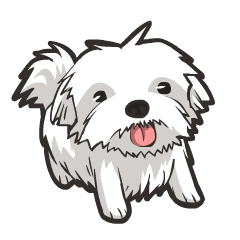 馬爾濟斯q 版 Mdsulja 馬爾濟斯q 版 Mdsulja