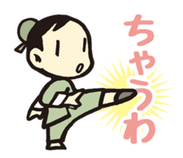 Kung fu sticker #5354237