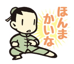 Kung fu sticker #5354252