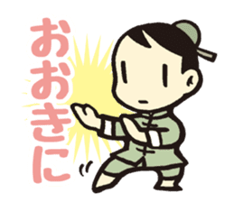 Kung fu sticker #5354254