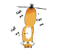 squirrel sun su sticker #5354323