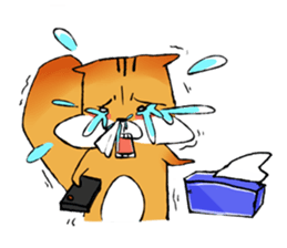 squirrel sun su sticker #5354324