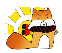 squirrel sun su sticker #5354346