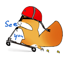 squirrel sun su sticker #5354355