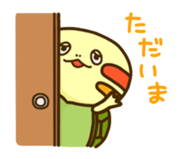 Chiyo of turtle 2 sticker #5354644