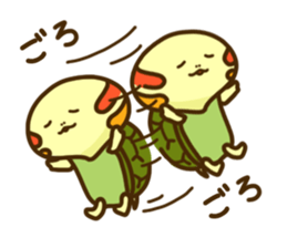 Chiyo of turtle 2 sticker #5354649