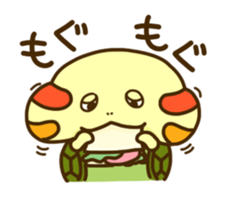 Chiyo of turtle 2 sticker #5354653