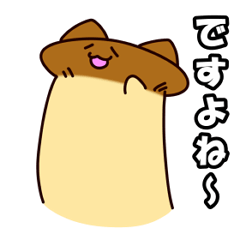 King Oyster Mushroom Cat