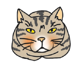 nobimaru cat sticker #5359647