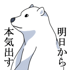 Polar bear???