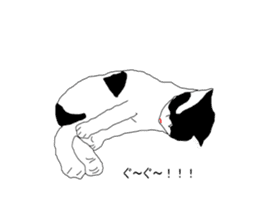 Black-and-white cat annko sticker #5367437