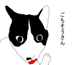 Black-and-white cat annko sticker #5367438