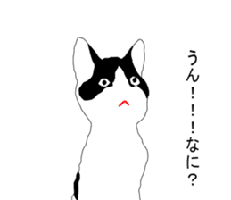 Black-and-white cat annko sticker #5367439