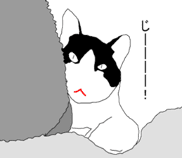 Black-and-white cat annko sticker #5367440