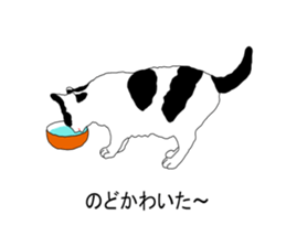Black-and-white cat annko sticker #5367446