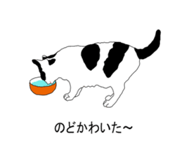 Black-and-white cat annko sticker #5367446