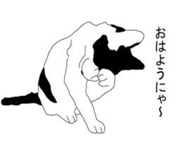 Black-and-white cat annko sticker #5367447