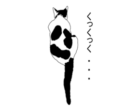 Black-and-white cat annko sticker #5367448