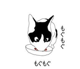 Black-and-white cat annko sticker #5367449