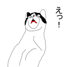Black-and-white cat annko sticker #5367451