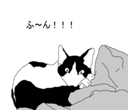 Black-and-white cat annko sticker #5367452