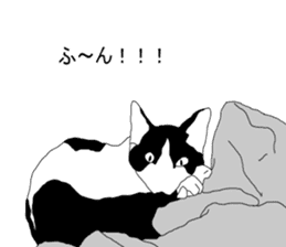 Black-and-white cat annko sticker #5367452