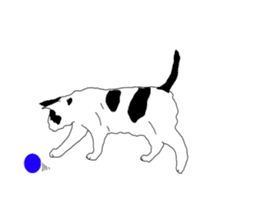 Black-and-white cat annko sticker #5367453