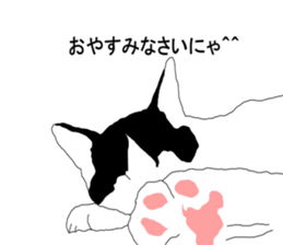 Black-and-white cat annko sticker #5367455