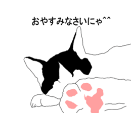 Black-and-white cat annko sticker #5367455