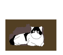 Black-and-white cat annko sticker #5367457