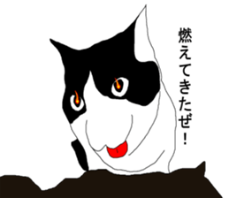 Black-and-white cat annko sticker #5367459