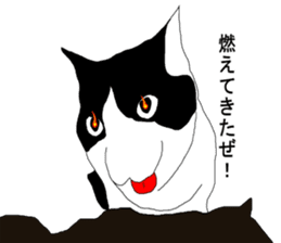 Black-and-white cat annko sticker #5367459