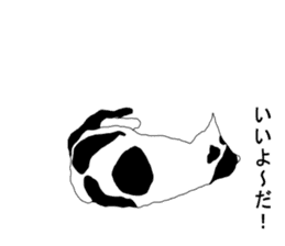Black-and-white cat annko sticker #5367460