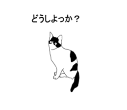 Black-and-white cat annko sticker #5367461