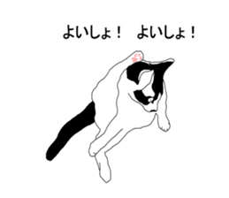 Black-and-white cat annko sticker #5367462