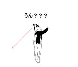 Black-and-white cat annko sticker #5367465