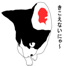 Black-and-white cat annko sticker #5367467