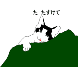 Black-and-white cat annko sticker #5367468