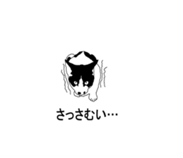 Black-and-white cat annko sticker #5367472