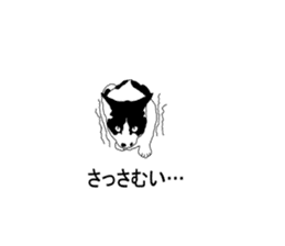 Black-and-white cat annko sticker #5367472