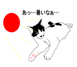 Black-and-white cat annko sticker #5367473