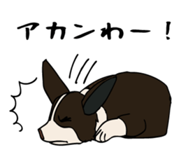 Work like a dog. sticker #5371847