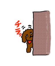 Cute family poodle More sticker #5374197