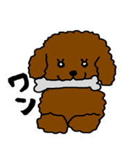 Cute family poodle More sticker #5374199