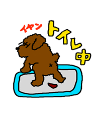 Cute family poodle More sticker #5374205