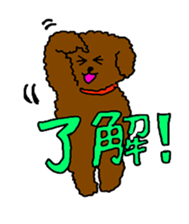 Cute family poodle More sticker #5374206