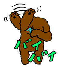 Cute family poodle More sticker #5374209